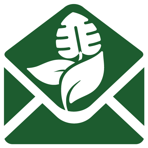 Stekjesbrief
