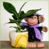 happy musa banenenpoat in monkey sierpot
