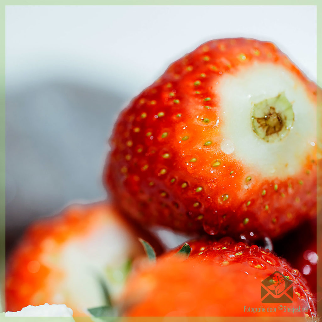 Fragaria x ananassa 'Ostara' aardbei DIY kopen, zaaien, stekken en kweken