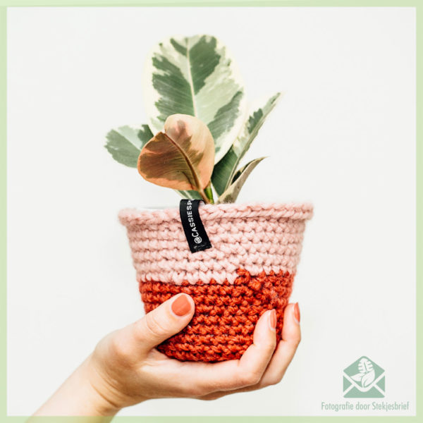 @cassiesplantfulness - crochet luxury trendy flower pot plant pot 12 cm