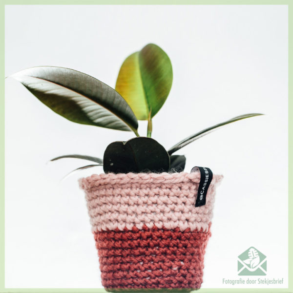 @cassiesplantfulness - gehaakte luxe hippe bloempot plantenpot 12 cm