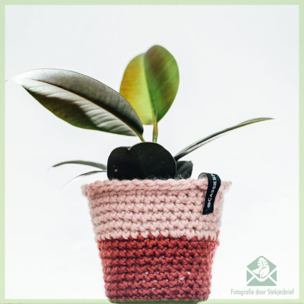 @cassiesplantfulness - crochet luxury trendy flower pot plant pot 12 cm