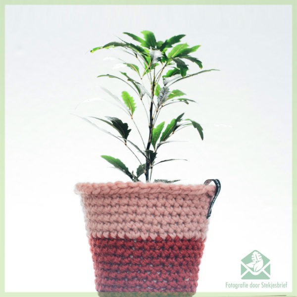 @cassiesplantfulness - gehaakte luxe hippe bloempot plantenpot 12 cm