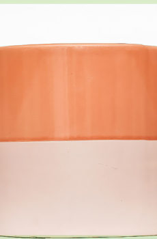Sunnyjack Planz Pot Blummenpot dekorativen Pot 10 cm