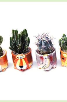 animal pot plant pot flower pot small set 6 cm