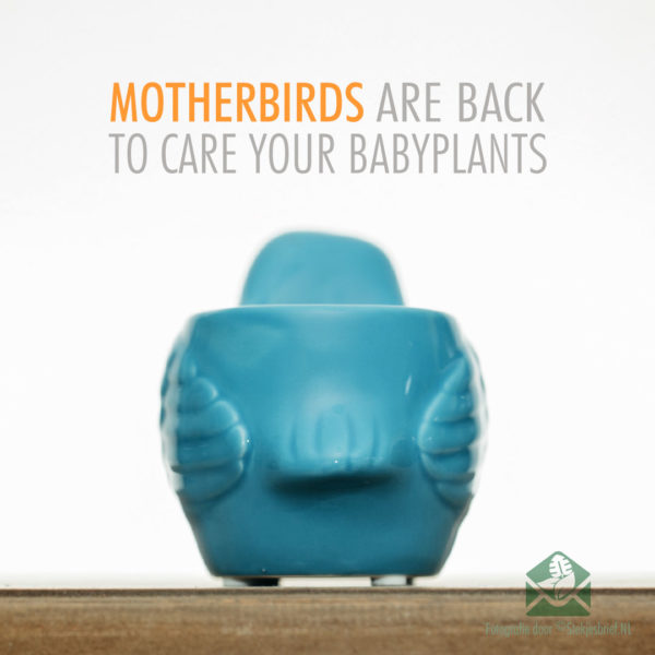 Motherbird blauw bloempot plantenpot sierpot 6 cm