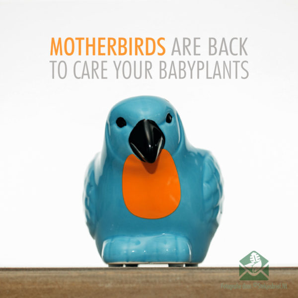 Motherbird blauw bloempot plantenpot sierpot 6 cm