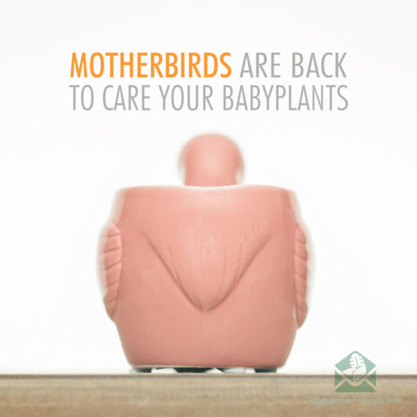 Motherbird pink bloempot plantenpot sierpot 6 cm