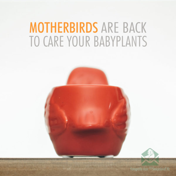 Motherbird red plant pot flower pot 6 cm