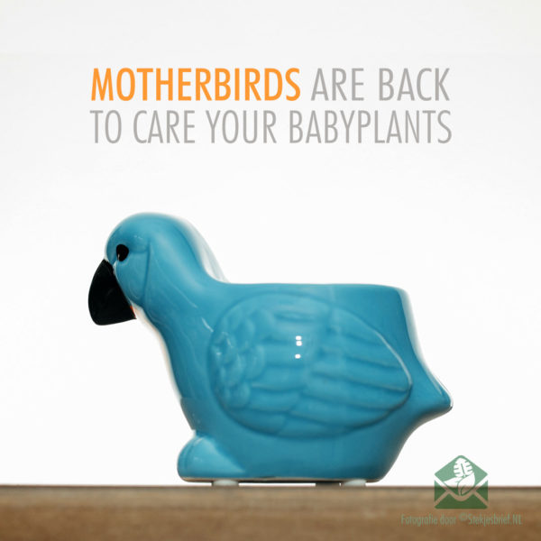 Motherbirds dekorative potter urtepotter plantepotter sæt med 5 stk