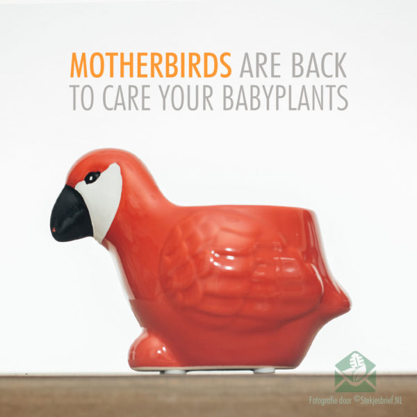 Декоративни саксии Motherbirds саксии саксии за растения комплект от 5 бр