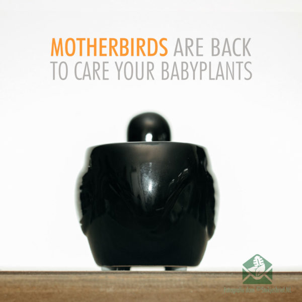 Motherbird zwart bloempot plantenpot sierpot 6 cm