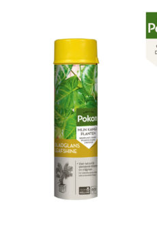 Shine pelên nebatên xanî yên Pokon 600ml bikirin