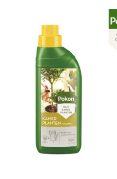 Xwarina nebatê ya Pokon houseplants 500ml bikirin