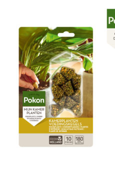 Cumpărați conuri nutritive pentru plante de apartament Pokon