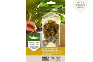 Pokon kamerplanten voedingskegels kopen