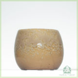 Cream coffee plantenpot bloempot sierpot 6 cm