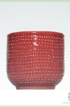 raudona kepurė Redhat vazonas gėlių vazonas dekoratyvinis vazonas 6 cm