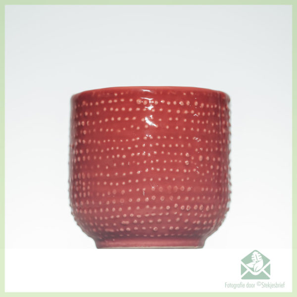 red hat redhat cache-pot pot de fleurs pot décoratif 6 cm