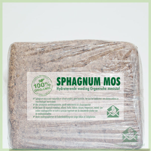 Cumpărați mușchi de sphagnum pentru acoperirea solului mușchi de sfagnum proaspăt