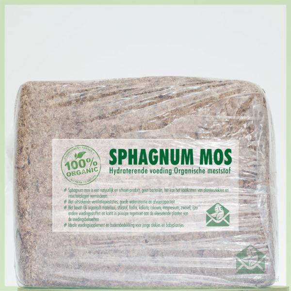 Sphagnum moss බිම් ආවරණ නැවුම් sphagnum පාසි මිලදී ගන්න