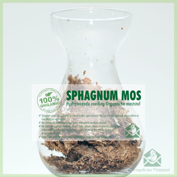 Emptum Sphagnum muscum humum recens sphagnum musci