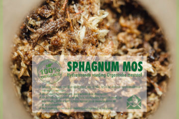 Kjøp Sphagnum mose bunndekke fersk spagnum mose