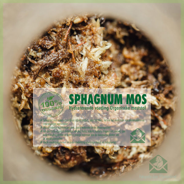 Emptum Sphagnum muscum humum recens sphagnum musci