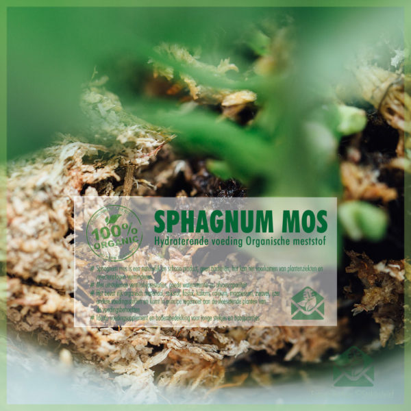 Koupit Sphagnum moss půdopokryvný čerstvý sphagnum mech