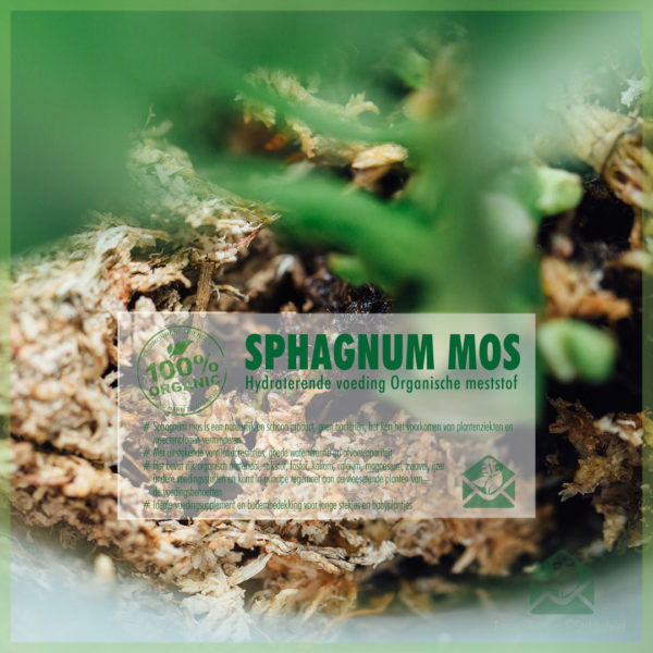 Emptum Sphagnum muscum humum recens sphagnum musci