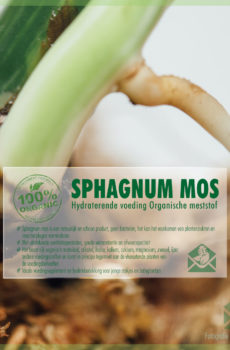 Keapje Sphagnum moss grûnbedekking frisse sphagnum moss