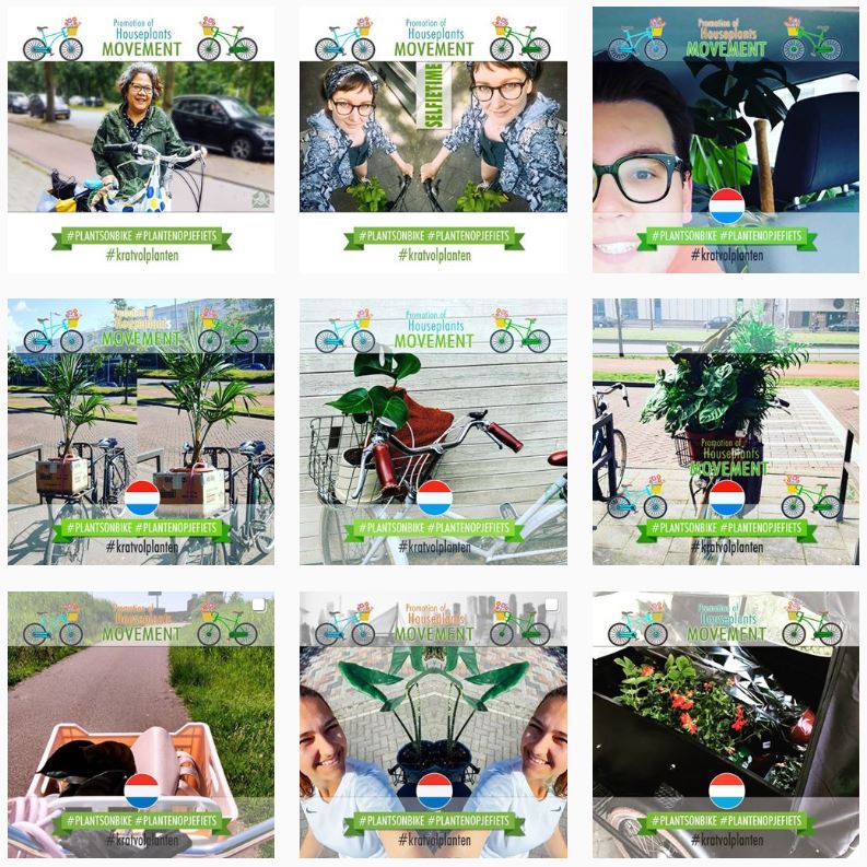 Cutting letter instagram marketing campaign plantsonbike 2020