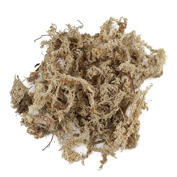 Sphagnum moss sphagnum moss order මිලදී ගන්න