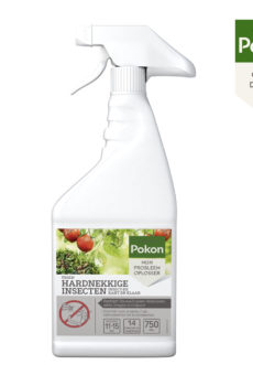 Buy Contra Insectorum Stubbornium Spray 750ml