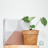 Kokos stek- en zaaigrond - cocopeat blokjes - 10L kopen