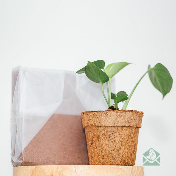 नारियल की कटाई और बुवाई की मिट्टी खरीदें - कोको पीट क्यूब्स - 10L