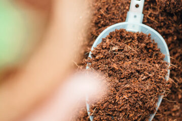 Kokos stek- en zaaigrond - cocopeat blokjes - 10L kopen