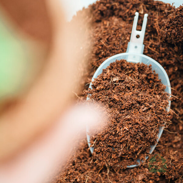 नारियल की कटाई और बुवाई की मिट्टी खरीदें - कोको पीट क्यूब्स - 10L
