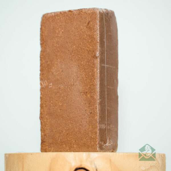 Kokos zaai- en stekgrond blokjes - cocopeat blokjes kopen