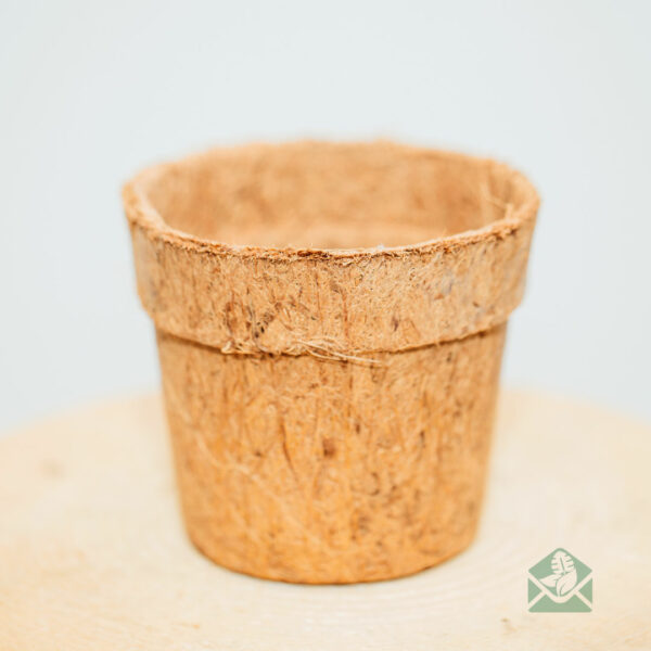 coconut coco peat eco flower pot decorative pot