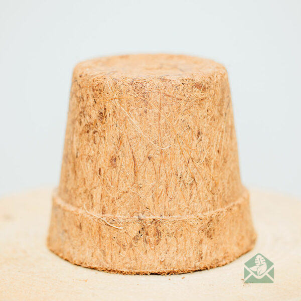 kokos cocopeat eco bloempot sierpot kopen