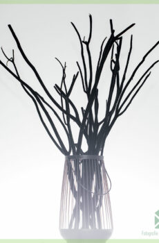 Branches de décoration Mitsumata Black Velvet 60 cm