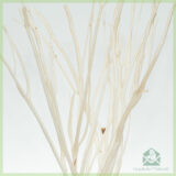 Mitsumata decoratie takken Sandy Beach 60 cm