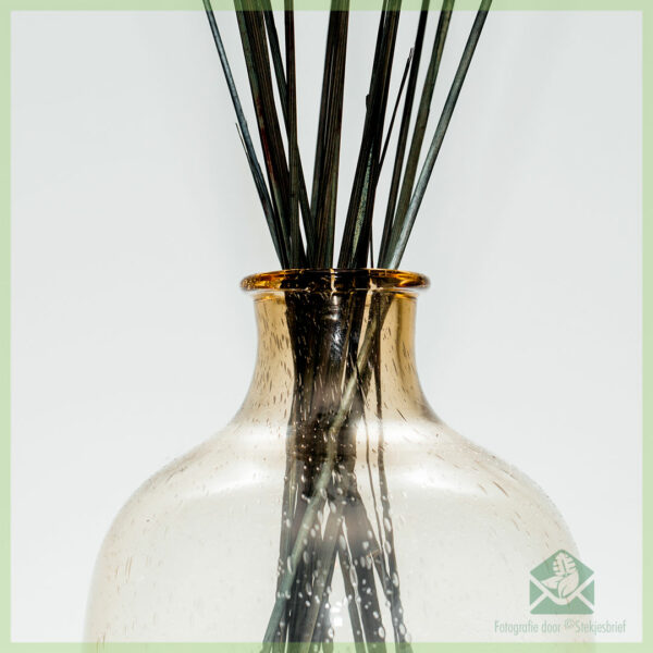 Pampas pluimen droogbloemen Black Beauty 75 cm