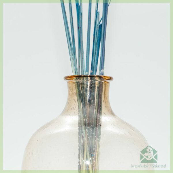 Pampas pluimen droogbloemen Ocean Blue 75 cm