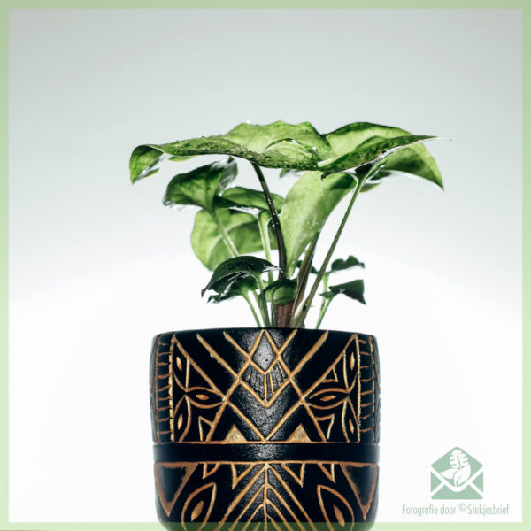 Keapje Anubis plant pot blom pot dekorative pot 6 sm