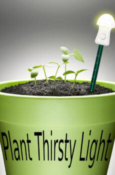 moje rostlina má dveřní světelný senzor koupit