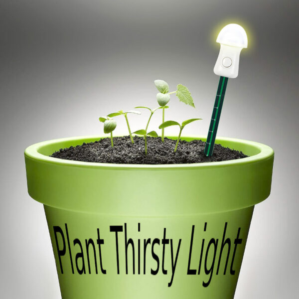 mijn plant heeft doorst lichtsensor kopen