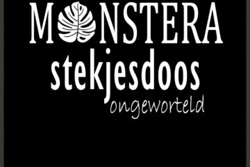 Monstera කැපුම් පෙට්ටිය මුල් බැස නොගත් කැපුම් පැකේජ ගනුදෙනුව මිලදී ගැනීම