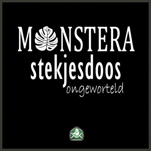 Monstera stekjesdoos ongeworteld stekjes pakketdeal kopen